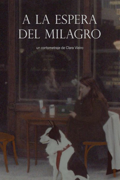 A la espera del milagro постер
