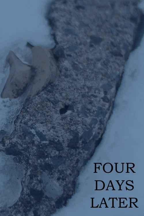 FOUR DAYS LATER постер