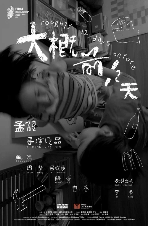 大概前12天 постер