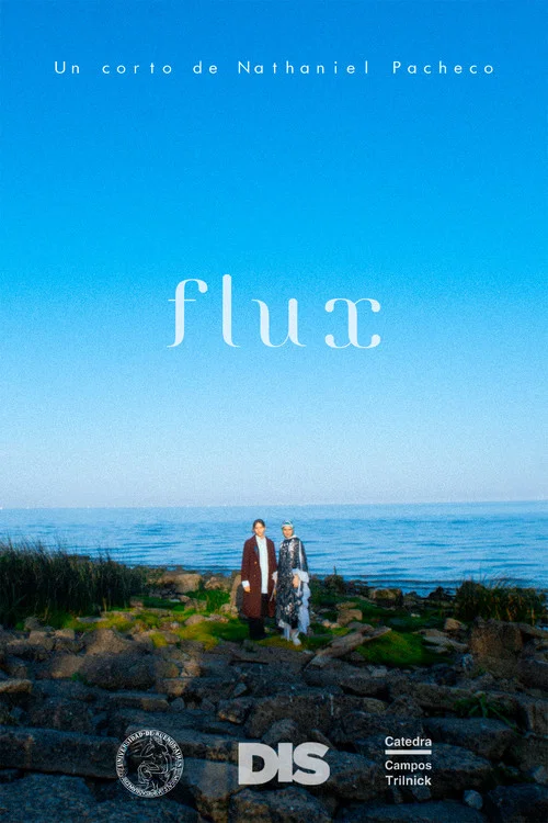 Flux постер