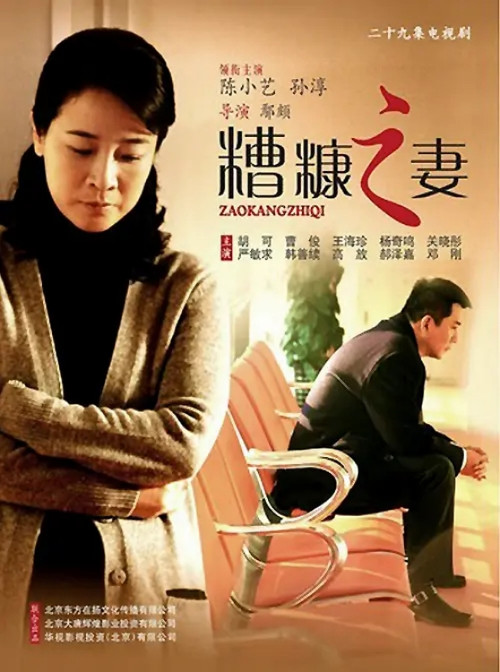 我的糟糠之妻 постер
