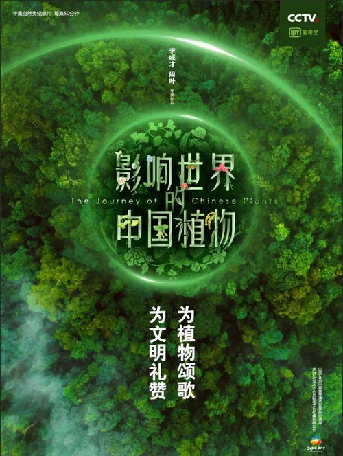 影响世界的中国植物 постер
