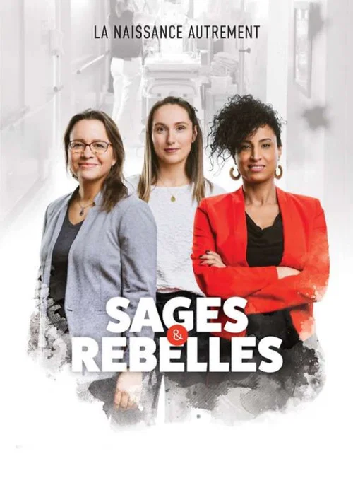 Sages et rebelles постер