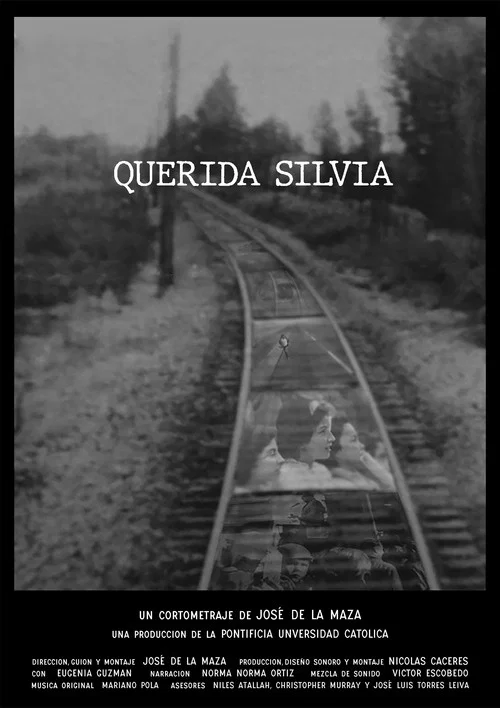 Querida Silvia постер