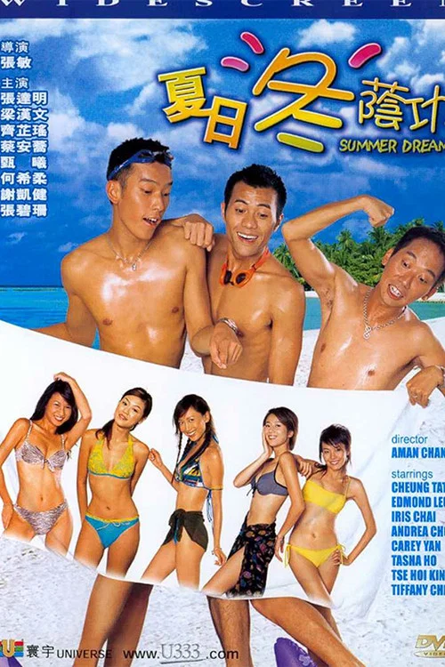 夏日冬荫功 постер