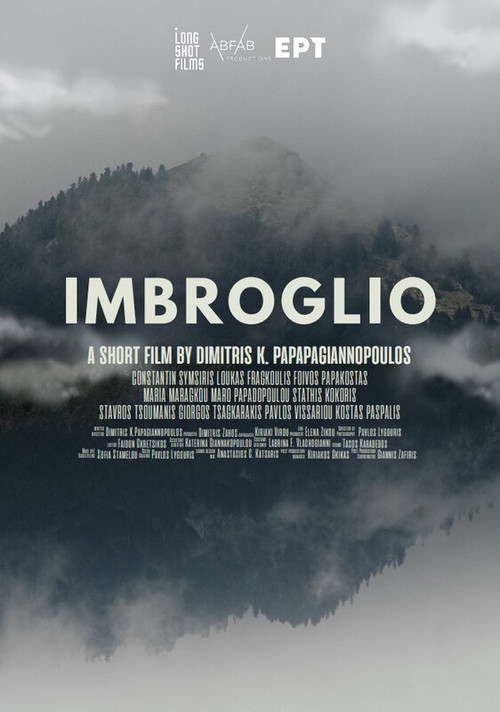 Imbroglio постер