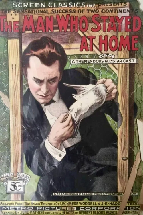 The Man Who Stayed at Home постер