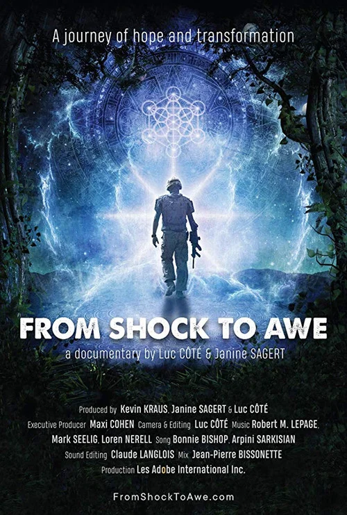 From Shock to Awe постер