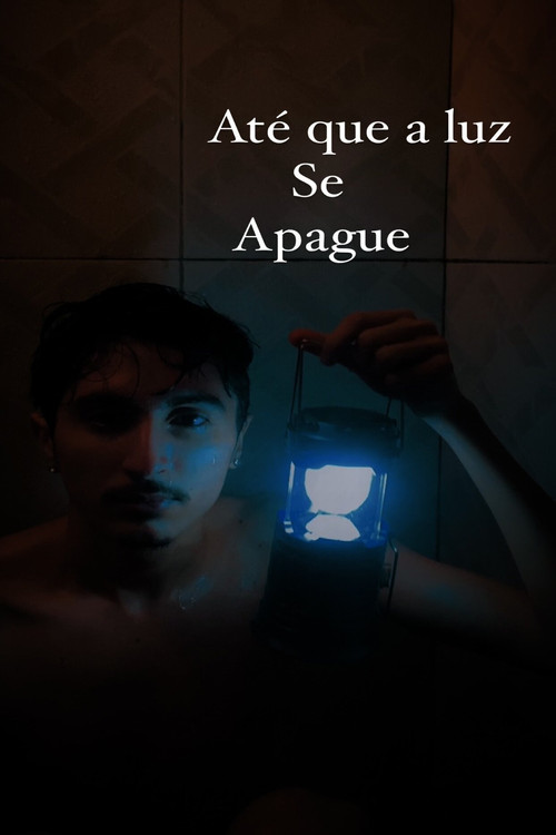 Até que a luz se apague постер