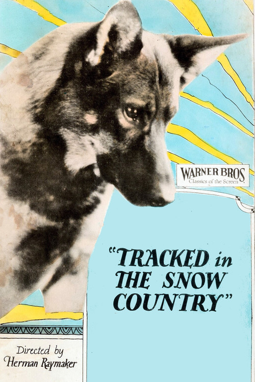 Tracked in the Snow Country постер