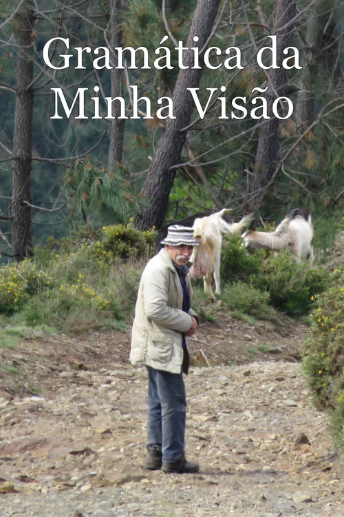 Gramática da Minha Visão постер