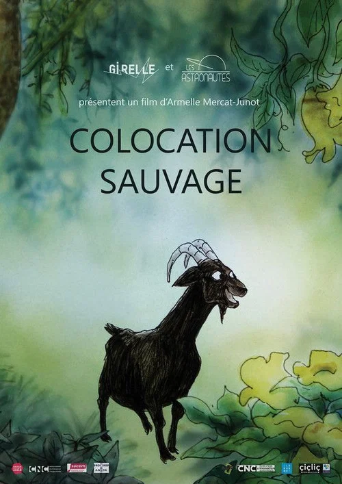 Colocation sauvage постер