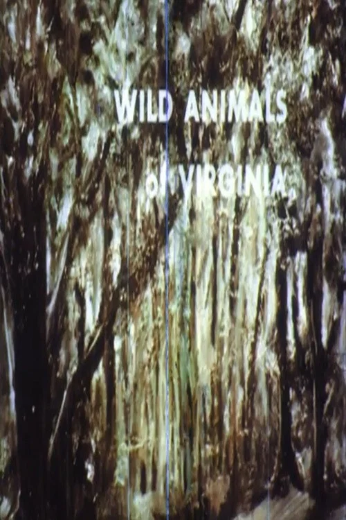 Wild Animals of Virginia постер