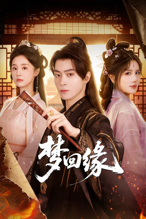 梦回缘 постер
