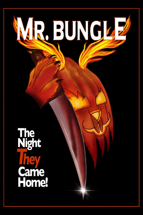 Mr. Bungle: The Night They Came Home постер