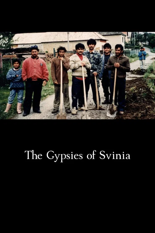 The Gypsies of Svinia постер