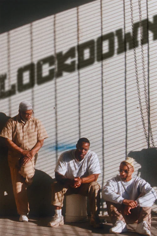 Lockdown постер