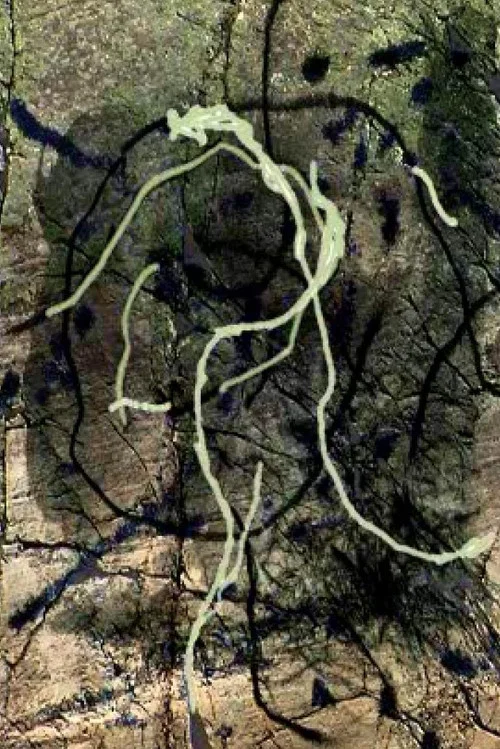 Rivière au tonnerre постер