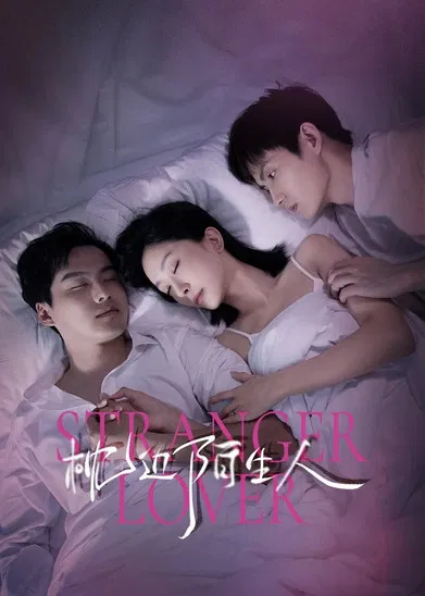 枕边陌生人 постер