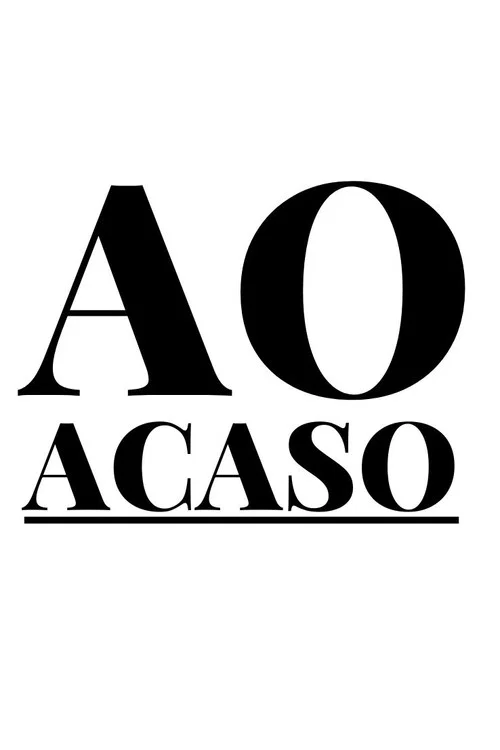 Ao Acaso постер