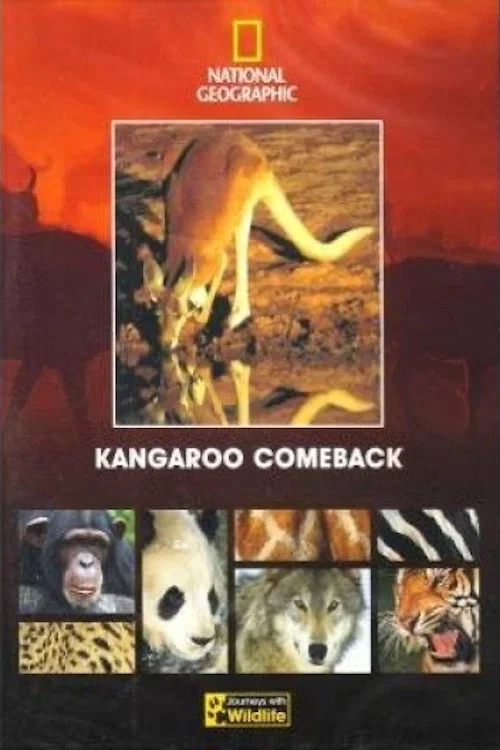 Kangaroo Comeback постер