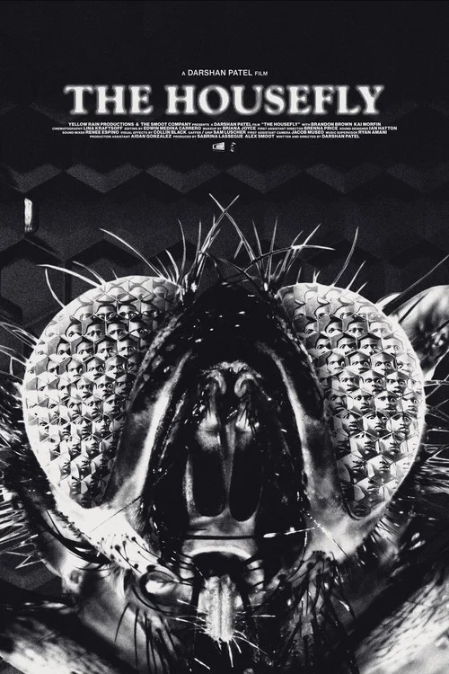The Housefly постер