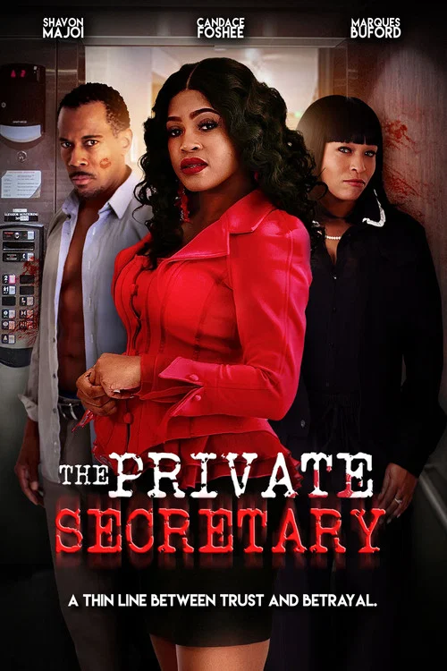 The Private Secretary постер
