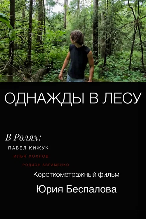 Once Upon a Time in the Forest постер