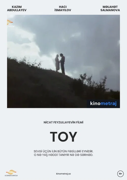Toy постер