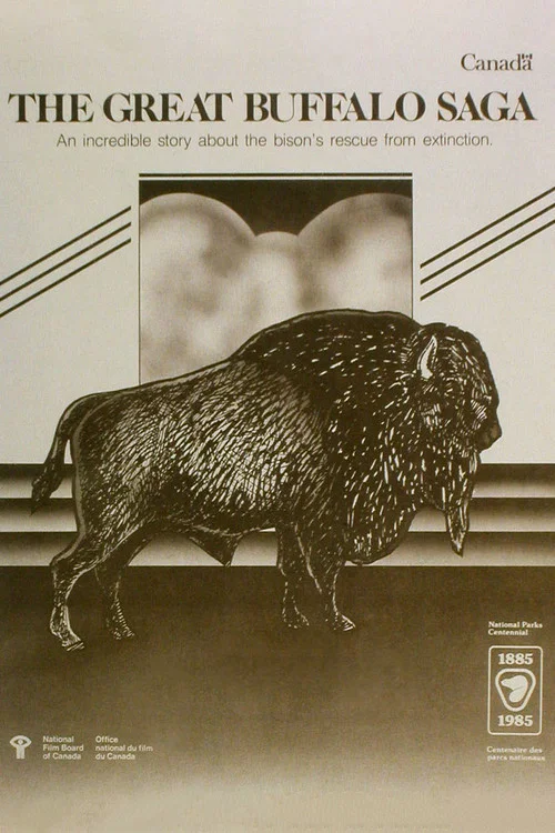 The Great Buffalo Saga постер