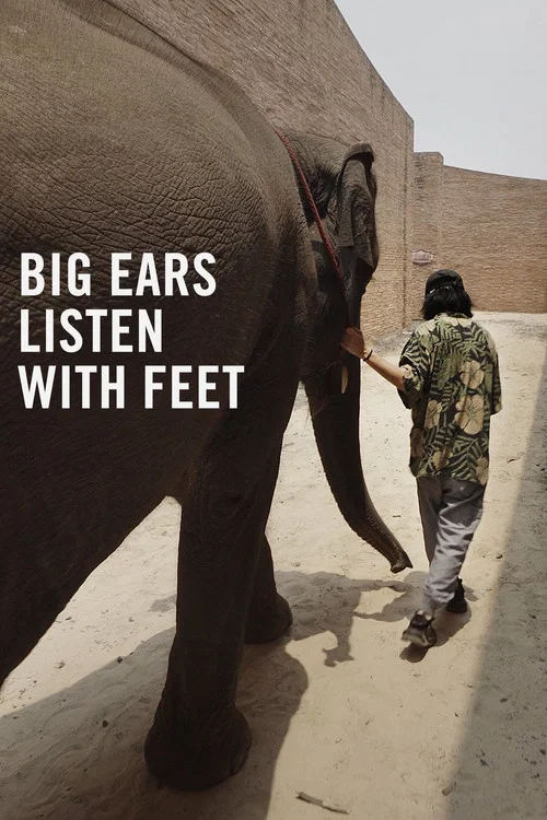 Big Ears Listen with Feet постер