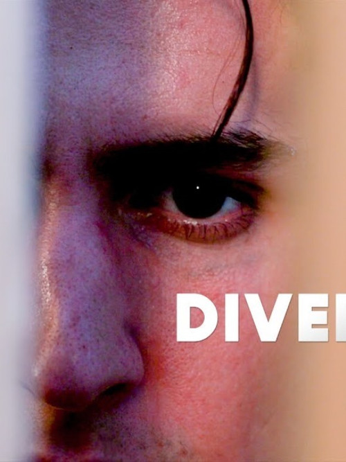 Diversion постер