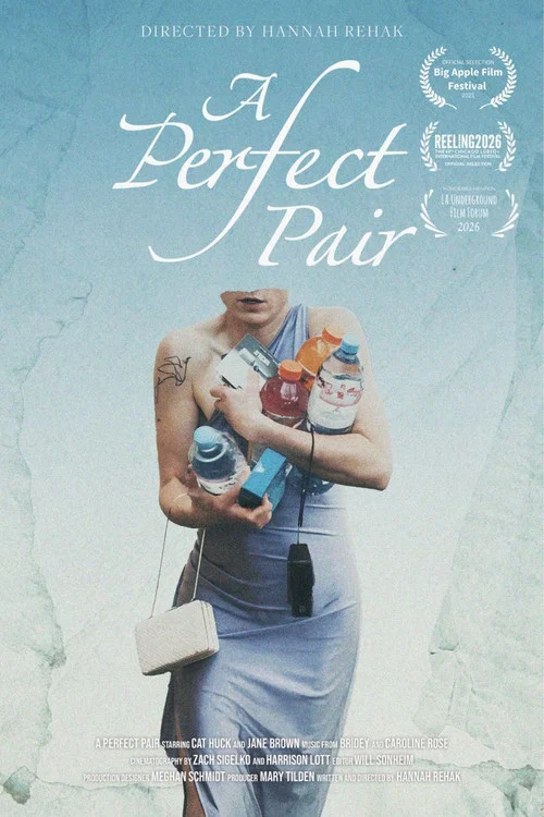 A Perfect Pair постер