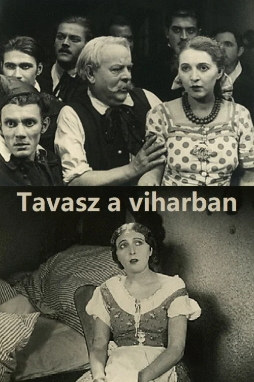 Весной в бурю постер