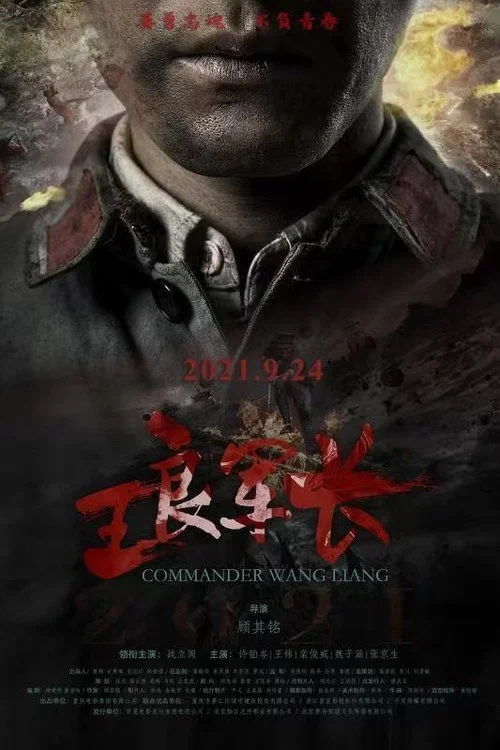王良军长 постер