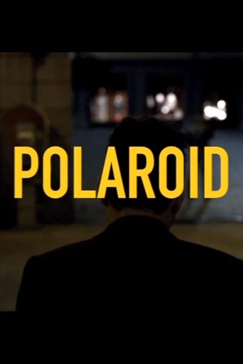 Polaroid постер