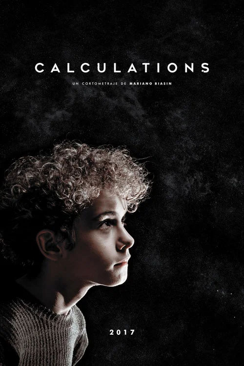 Calculations постер