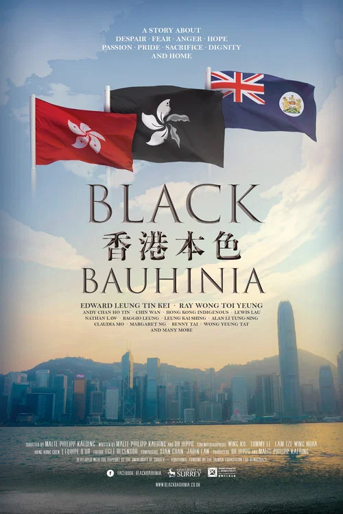 香港本色 постер