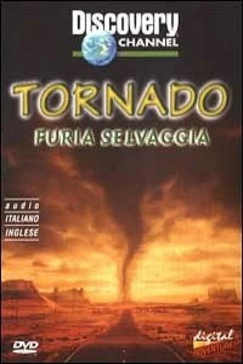 Storm forces tornadoes постер