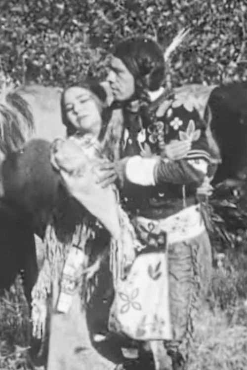 The Cheyenne's Bride постер