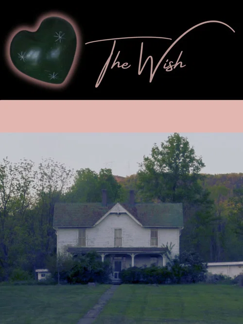 The Wish постер