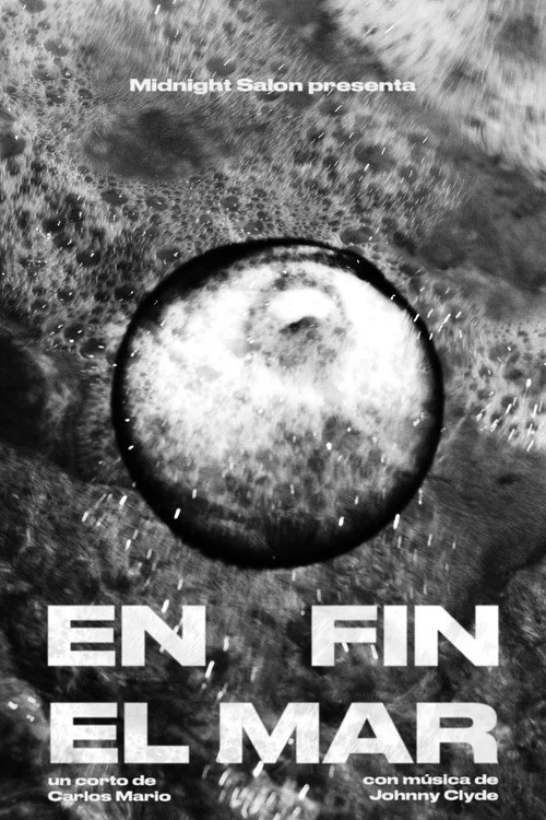 En fin, el Mar постер