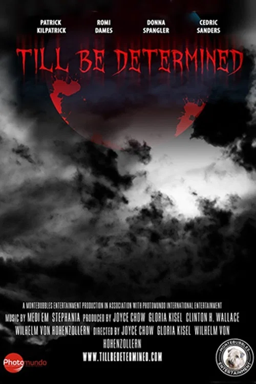 Till Be Determined постер
