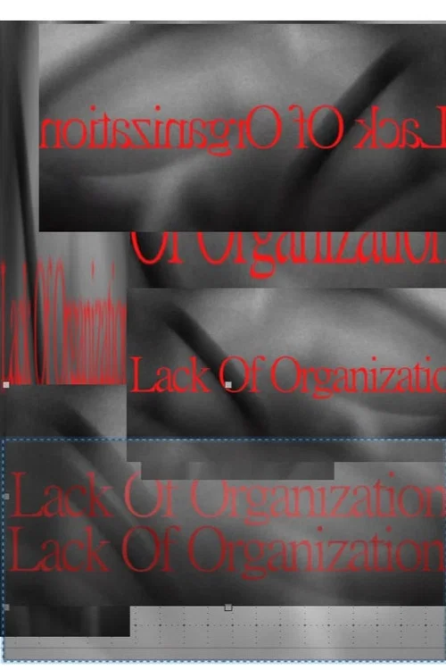 Lack of Organization постер