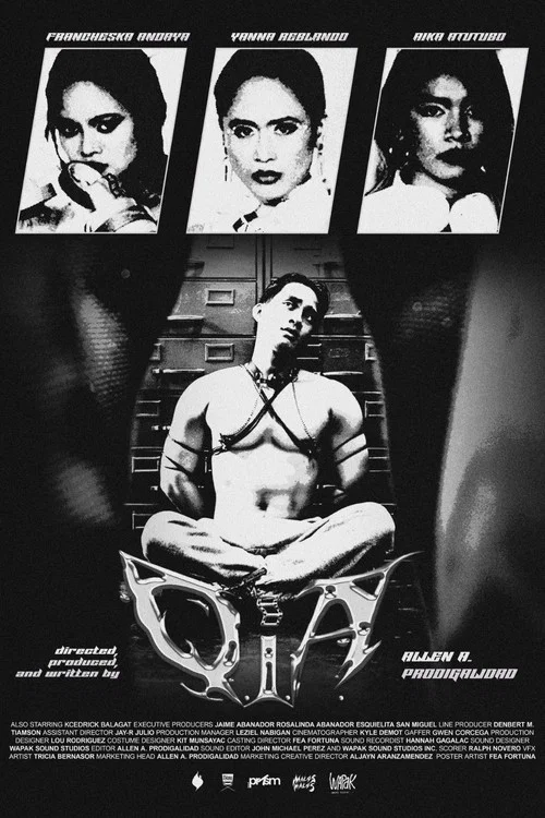 Q.I.A. постер