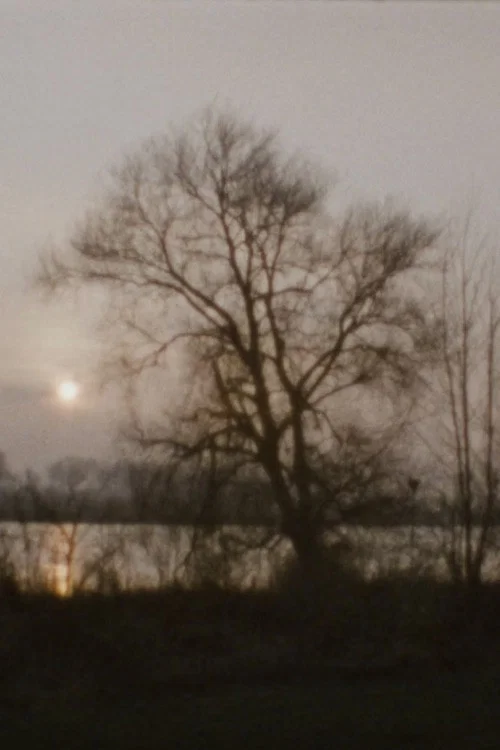 Landscape as Landscape - 27 постер