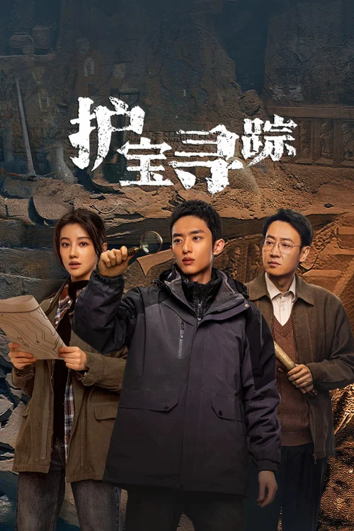 护宝寻踪 постер