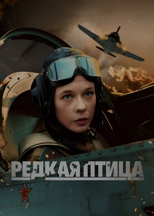 Редкая птица постер