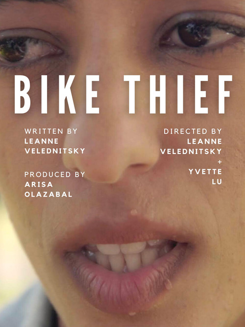 Bike Thief постер