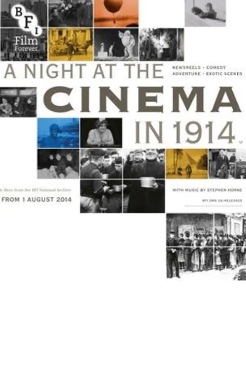 A Night at the Cinema in 1914 постер